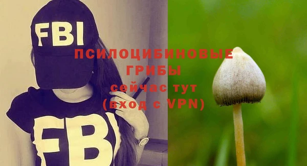 хмурый Баксан