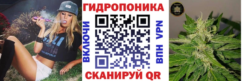 где купить   Цивильск  Канабис семена 